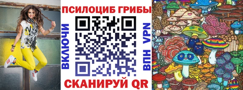наркота  Южно-Сухокумск  Галлюциногенные грибы Cubensis 